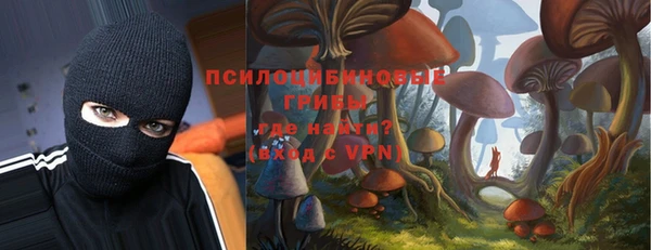mdpv Бородино