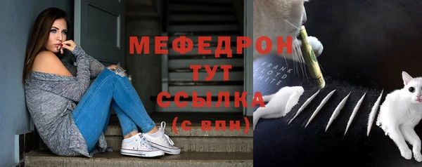 mdpv Бородино