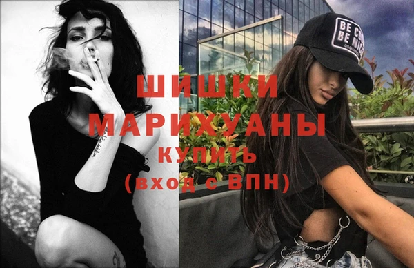 mdpv Бородино