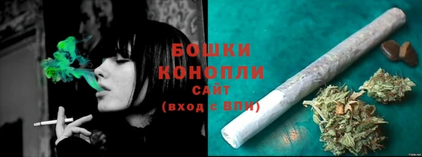 mdpv Бородино