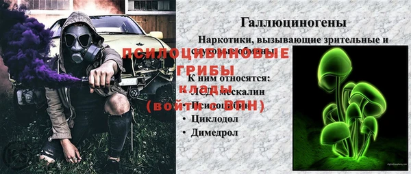 mdpv Бородино