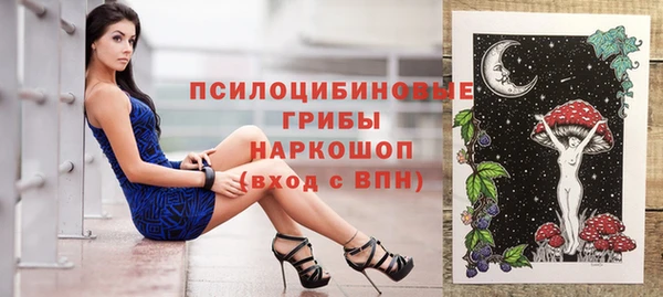 бошки Бронницы