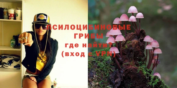 бошки Бронницы
