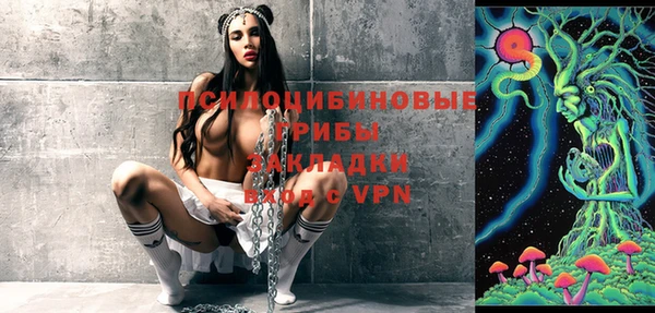 гидра Бугульма