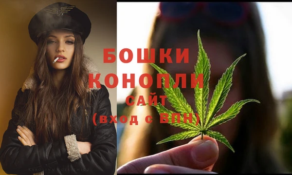 бошки Бронницы